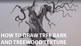 How to Draw Tree Bark and Wood Grain | Drawing An Old Tree