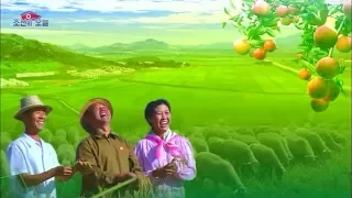 DPRK Song: Land and Farmers 땅과 농민 (engl. subt.)