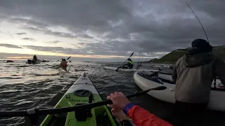 Busy Launch at Buffelsbay, Cape Point