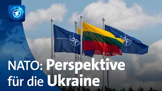 NATO-Gipfel in Litauen: Gespräche zu Bündnis-Perspektive für die Ukraine