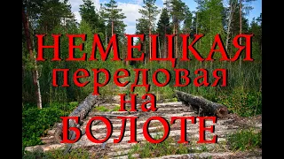 Нашел немецкую передовую на болоте. Все осталось на поверхности. Сбросы на болоте. Волховский Фронт.