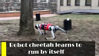 Robot cheetah learns to run by itself