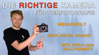 Darauf solltest du beim Kamerakauf achten! Die richtige Kamera für die Vogelfotografie