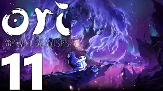 Baurs Reach! Luma Pools Revisited! Ori Will of the Wisps 11
