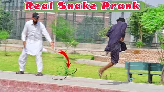 Real snake prank in pakistan || by banana pranks