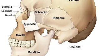 how to change your facial bone structure