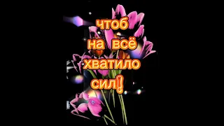 23 Февраля! Мужчины! С Праздником Вас!🌷🌷🌷