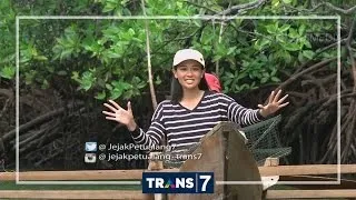 JEJAK PETUALANG - SARANG RAJA MUARA HALMAHERA (11/7/16) 3-3