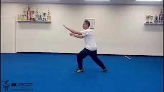 Chen Sitan 24式太极拳