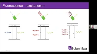 Christian Wilms - Looking ever deeper, an introduction to three-photon microscopy - Imaging ONEWORLD