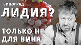 [ЛИДИЯ] - конкурент Изабеллы?