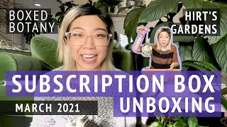 Hirt's Boxed Botany | March 2021 Houseplant Subscription Box Unboxing