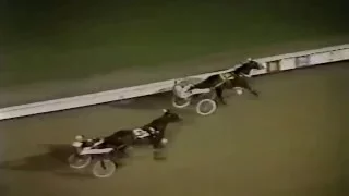 1982 Cane Pace- Yonkers Raceway - Cam Fella