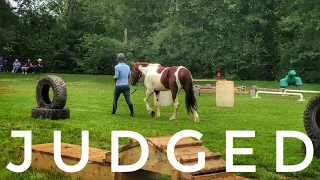 Judged | 2019 Mustang TIP Challenge