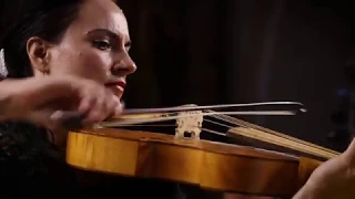 Antonio Vivaldi | Viola d'amore Concerto in D Minor RV 393 | Allegro | Jesenka Balic Zunic Kore