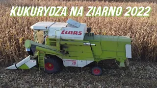 Kukurydza na ziarno 2022✯Claas dominator 76✯GR Kucharscy✯