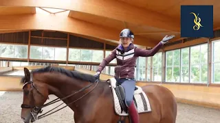 The One Thing All Grand Prix Riders Do In The Canter | Improve Your Riding Today