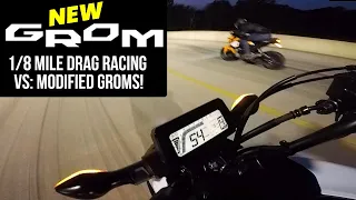 New Honda Grom 125 Drag Racing VS Modified Groms | Is the New MSX125 faster or slower?