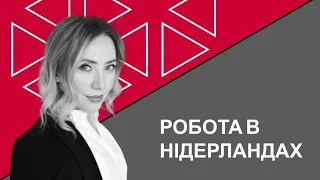 ТРУДОВИЙ КОНТРАКТ У НІДЕРЛАНДАХ