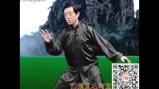 陈正雷缠丝功 标清