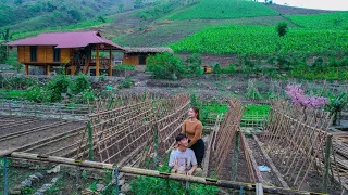 Repairing damaged fences after the storm, Making a bean garden trellis | Sang Vy garden farm