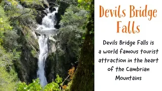 Nature Trail Devils Bridge Waterfalls and Punchbowl near Aberystwyth in Mid Wales