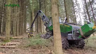 Douglasien-Durchforstung Harvester John Deere mit Langkran 15.03.2024