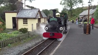 Woodland Wanderer train + Blanche steam loco on historic Ffestiniog railway at Tan y Bwlch stn Wales