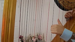 ❤️ Czerny 100 Progressive Studies No.47 in Harp~!