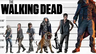 The Walking Dead Size Comparison | Biggest Characters of The Walking Dead movie | Satisfying Video