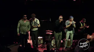 Paul Lamb and the King Snakes [Blues] LIVESTREAM