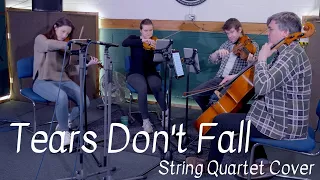 Tears Don't Fall | Bullet For My Valentine | String Quartet Cover