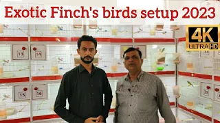 Visit European style finch breeding setup 2023 M.J Birds farm #finchsetup #gouldianfinch