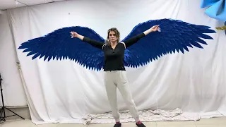 Безкаркасные  танцевальные  крылья , как выглядят без рук)