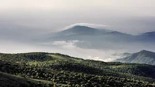 Johann Wolfgang von Goethe: Über allen Gipfeln ist Ruh (Wandrers Nachtlied 2)