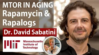 mTOR in Aging Ep4 - Rapamycin and Rapalogs | Dr David Sabatini Interview Series