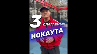 Три составляющих нокаутирующего удара. Важно знать!