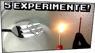 5 EXPERIMENTE zum SELBER MACHEN - Heimexperimente #64