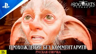 «УЧАСТЬ ДОМОВОГО ЭЛЬФА» ✪ РУССКАЯ ОЗВУЧКА - Hogwarts Legacy 🏆 Прохождение — Часть 16