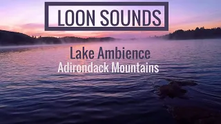 LOON Sounds ~RELAX With The Sounds Of The Loons Nestled In The Adirondack Mountains ~2HOURS