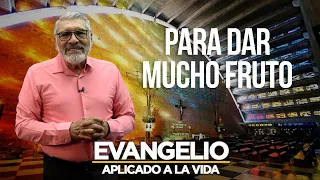 PARA DAR MUCHOS FRUTOS | Evangelio Aplicado (SAN JUAN 15, 1-8) - SALVADOR GOMEZ