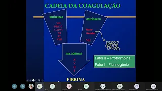 Entendendo os exames de TAP e TTPA. Aplicabilidade clínica.