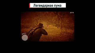 🤠Red Dead Redemption 2🤠 Легендарная пума🙀🔥🎮, #shorts