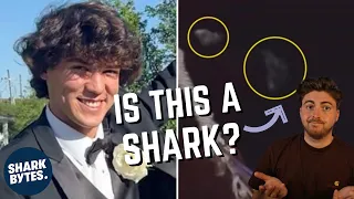 Cameron Robbins Shark Attack: Shark Scientist Opinion.