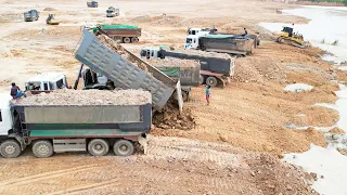 Huge Land Filling Up Dump Truck And Bulldozer Non Stop Hard Working