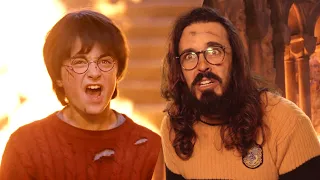Angry Potter - Harry el mago tenebroso