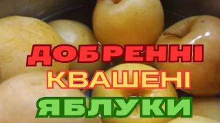 БОЧКУ КВАШЕНИХ ЯБЛУК МИ З'ЇДАЄМО ШВИДКО/ РЕЦЕПТ ПРОСТИЙ І ДОСТУПНИЙ  @Visiting_Tania