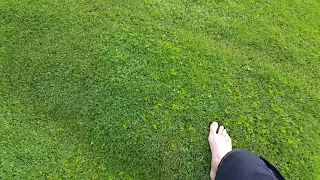 Lawn Bubble Discovery