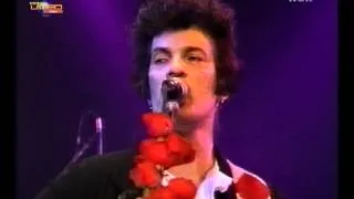 WILLY deVille I Can Give You Everything---  (Biskuithalle Bonn, Germany, March 25, 1995)