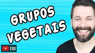 BOTÂNICA - BRIÓFITAS,  PTERIDÓFITAS, GIMNOSPERMAS e ANGIOSPERMAS | Biologia com Samuel Cunha